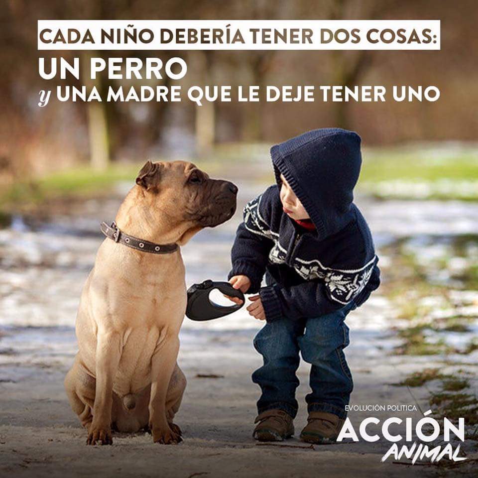 ecoveani's tweet photo. Pues si.... https://t.co/qHcTwcNGD0