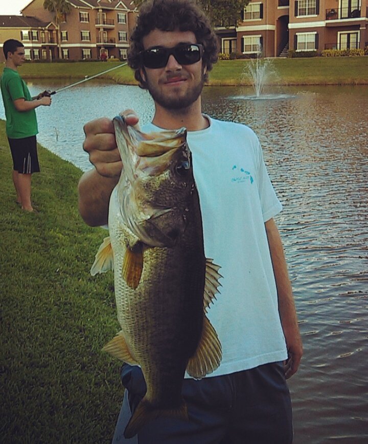 alexmoore174's tweet photo. Don't drop the bass https://t.co/OXsOiakUNF
