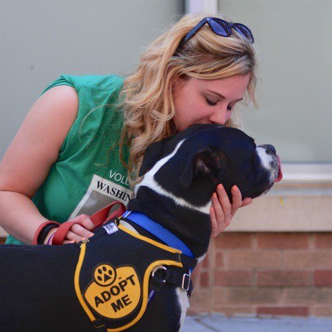 HumaneRescue's tweet photo. #AdoptForceOne will be outside @NatTheatreDC at ONE! Stop by and adopt your new BFF @yellowbrickroad #NTWizard https://t.co/Xkn0XPecbY