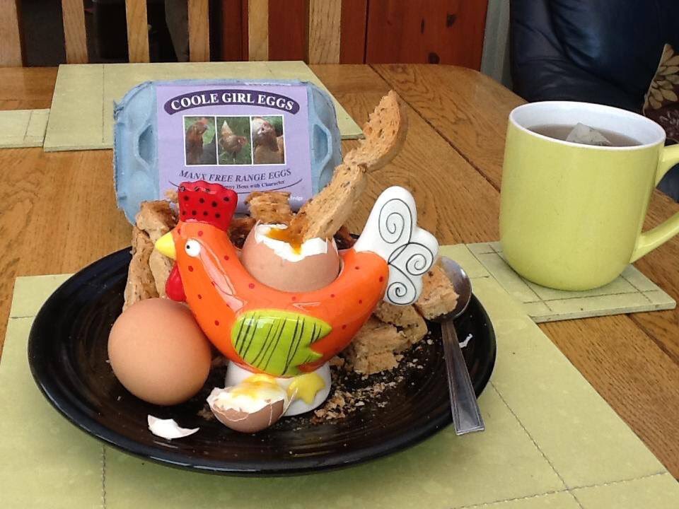 FarmsOfTheWorld's tweet photo. Always plenty of local eggs available on the island #versatilefood #foodmatters #shoplocal #isleofman https://t.co/zp2LJ7Q4OJ