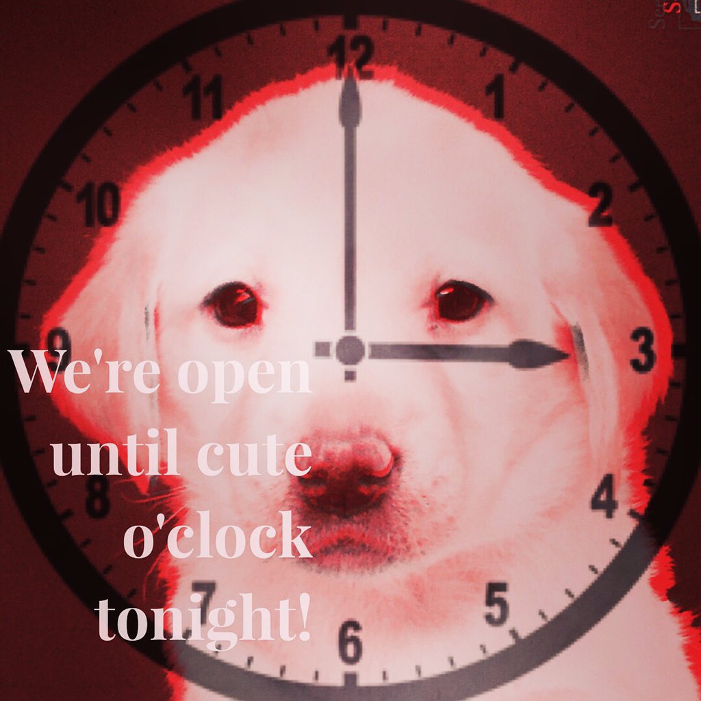 FalveyLibrary's tweet image. #Villanovalibrary open until #cute o&apos;clock tonight - we mean 3am! #finalsweek #finals #NovaNation