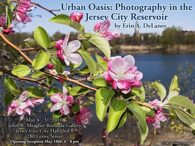 JCArtCulture's tweet photo. #JerseyCity #photographer Erin DeLaney @87ead will be in the #RotundaGallery 5/4-5/31: https://t.co/ObhKQJIBXw https://t.co/i9C1j047xs