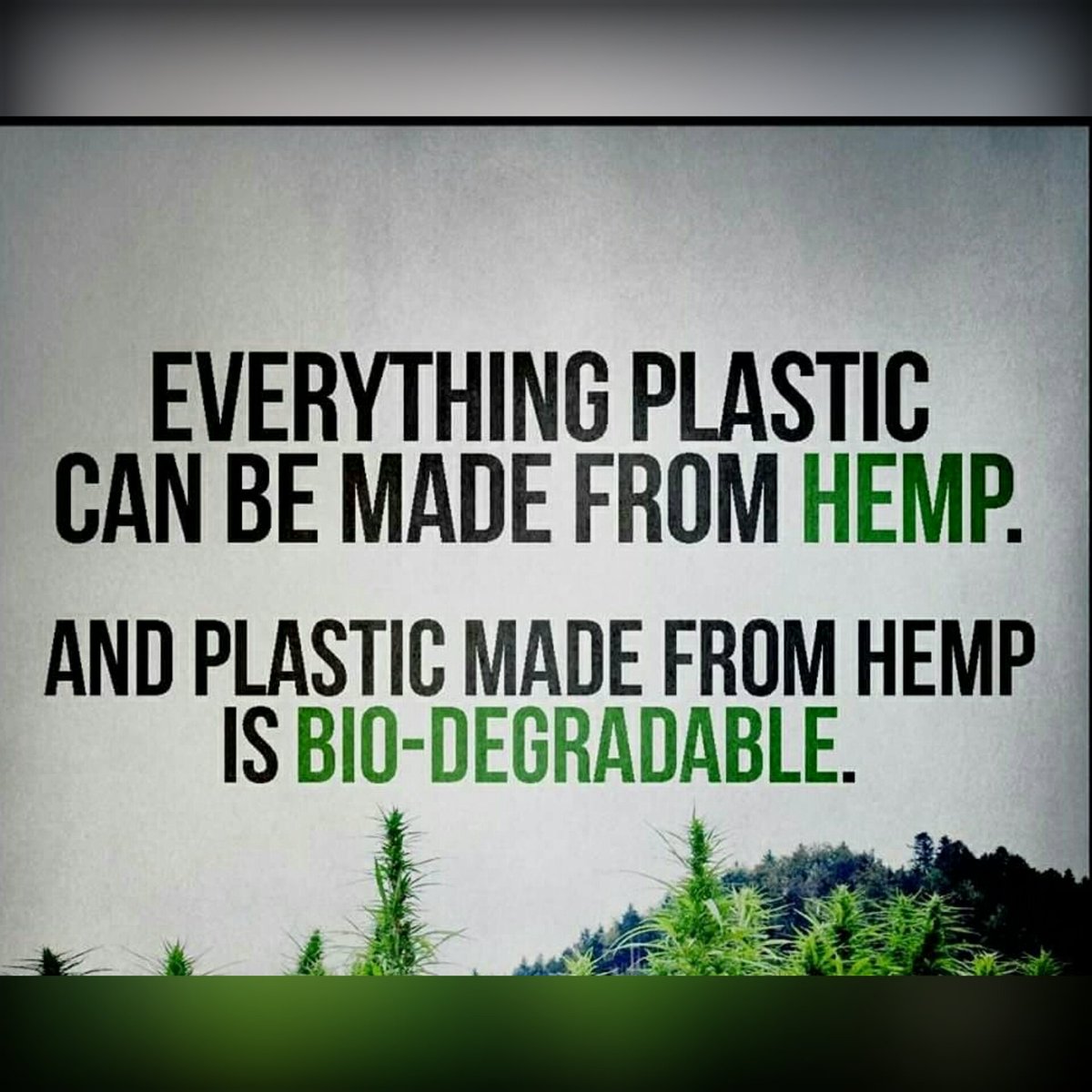 ZenpypeGadget's tweet image. #hemp facts #education 
🍁🍁💨💨💦💦💚💚
#savetheplanet
#peace#plant#herb#medicine