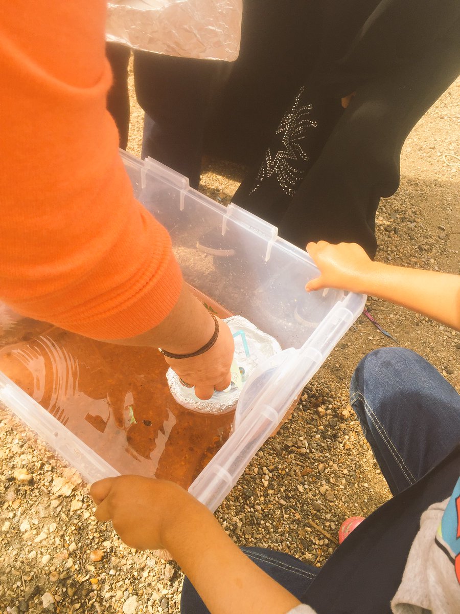 greely5_6's tweet photo. Boats and buoyancy fun☺️ #science #awesomestudents @FmisOffice @FMISonthego @s_eweida @Jeelaniu https://t.co/rFPHy6GpPK