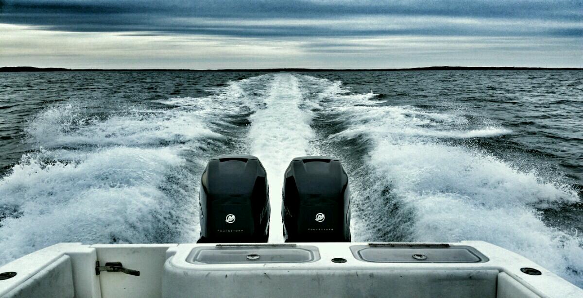 riptidefishing's tweet image. Perfect!