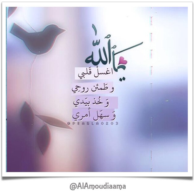 AlAmoudiaama's tweet photo. صلاة الوتر.. سورة الملك.. آية الكرسي.. الاستغفار..
#ليلة_سعيدة..
#تصبحون_على_خير.. https://t.co/CVRAlCyzp0