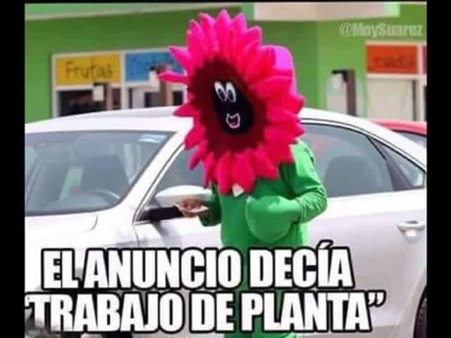elruidosomx's tweet photo. Ya tengo trabajo de planta !!
Felicítenme.
#ViajarEnElTiempoPara #FelizJueves #SoyGodinPorque #MiComplementoEs https://t.co/cImln6AAiE