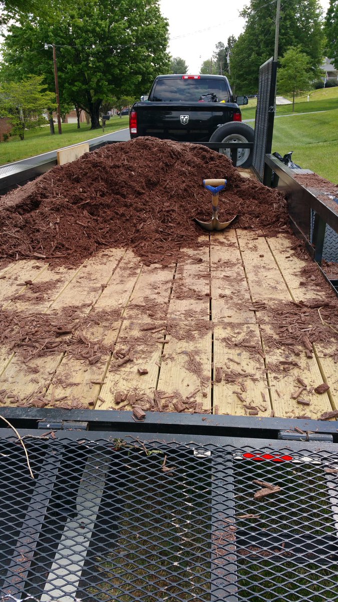Jsalt_Business's tweet photo. Working hard but making it look good...if anyone needs any summer cleaning inbox me...#landscaping #poolman https://t.co/0RpbyloP38