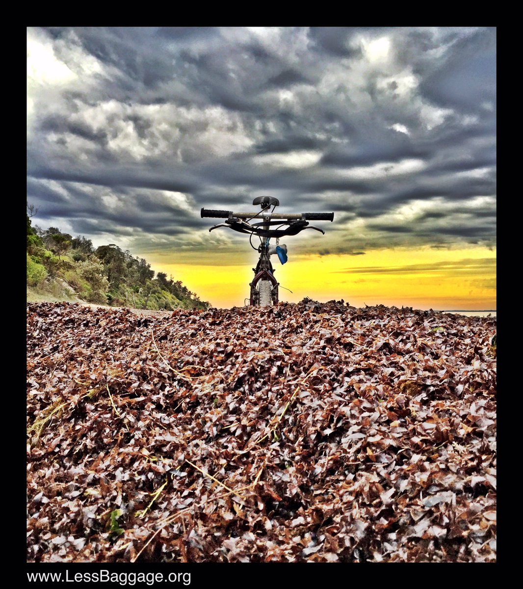 LessBaggage's tweet photo. #seagrass in #westernport

Slows you down a little

#sunrise #victoria #melbourne 

@TheRadavist @BikepackersMag https://t.co/MvCrsOUYNc