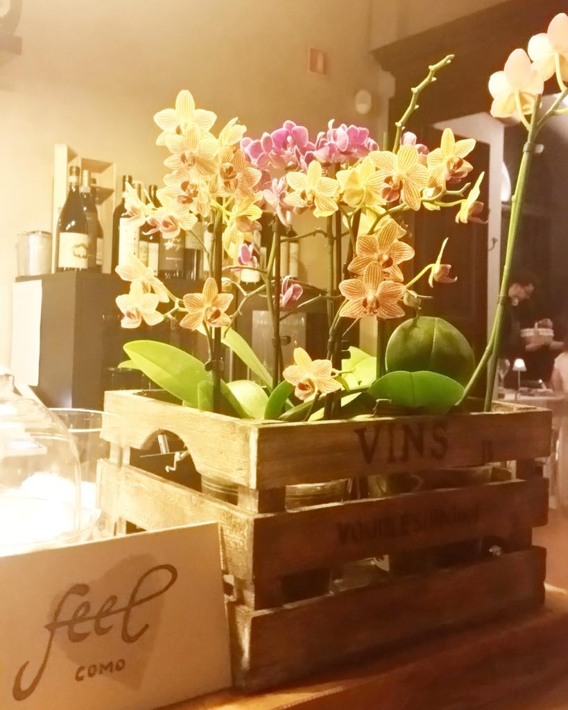 LarioStyle's tweet photo. Scoprendo la cucina di #feelcomo a #como #lakecomo #italy #restaurant #foodie #foodporn https://t.co/TsgQtIF5Oa