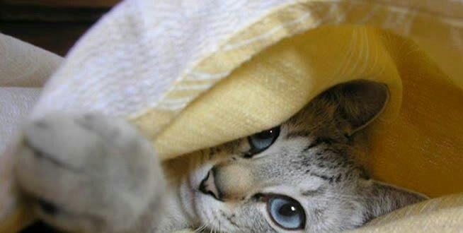 atodosdesde1992's tweet photo. #VemSdvComSrTwitteiro 
Ta frio né.. https://t.co/fu391I2cQe