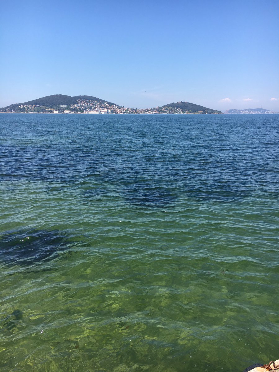 alazmi1967's tweet photo. جزيرة الاميرات اسطنبول تركيا🇹🇷🇹🇷🇹🇷
اليوم الخميس ٢٨ / ٤ / ٢٠١٦ م
#تصويري 
@aldossssari @alwseem66 @tourist_lover https://t.co/Ch77i57WC4
