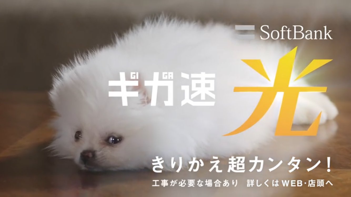 トリクルスター No Twitter Softbankの新しいcm ギガちゃん 生駒ちゃん 大活躍だな これで最後 らしいけど ギガちゃん 犬 推しとしても白戸家定住よろしくお願いしますm M T Co Qwnkvbisuz Twitter
