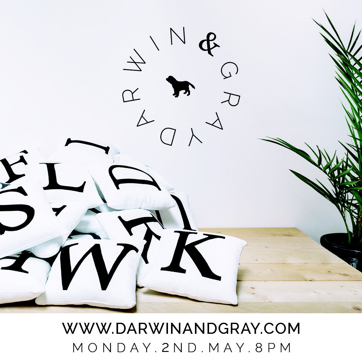 Darwin & Gray tweet media