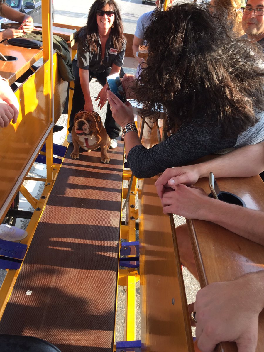 #Pubtherapy first..an English Bulldog boarded for a short pedal! Our new Bike #2 arrives mid May so we have May slot