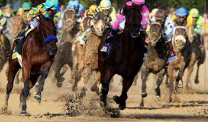 Lisa42482520's tweet photo. @jazz3162 The Champ on his way to winning the derby..focused and determined! What a race horse! 🏇👑👑👑🏆 #champAP https://t.co/z4Ank7zMSl