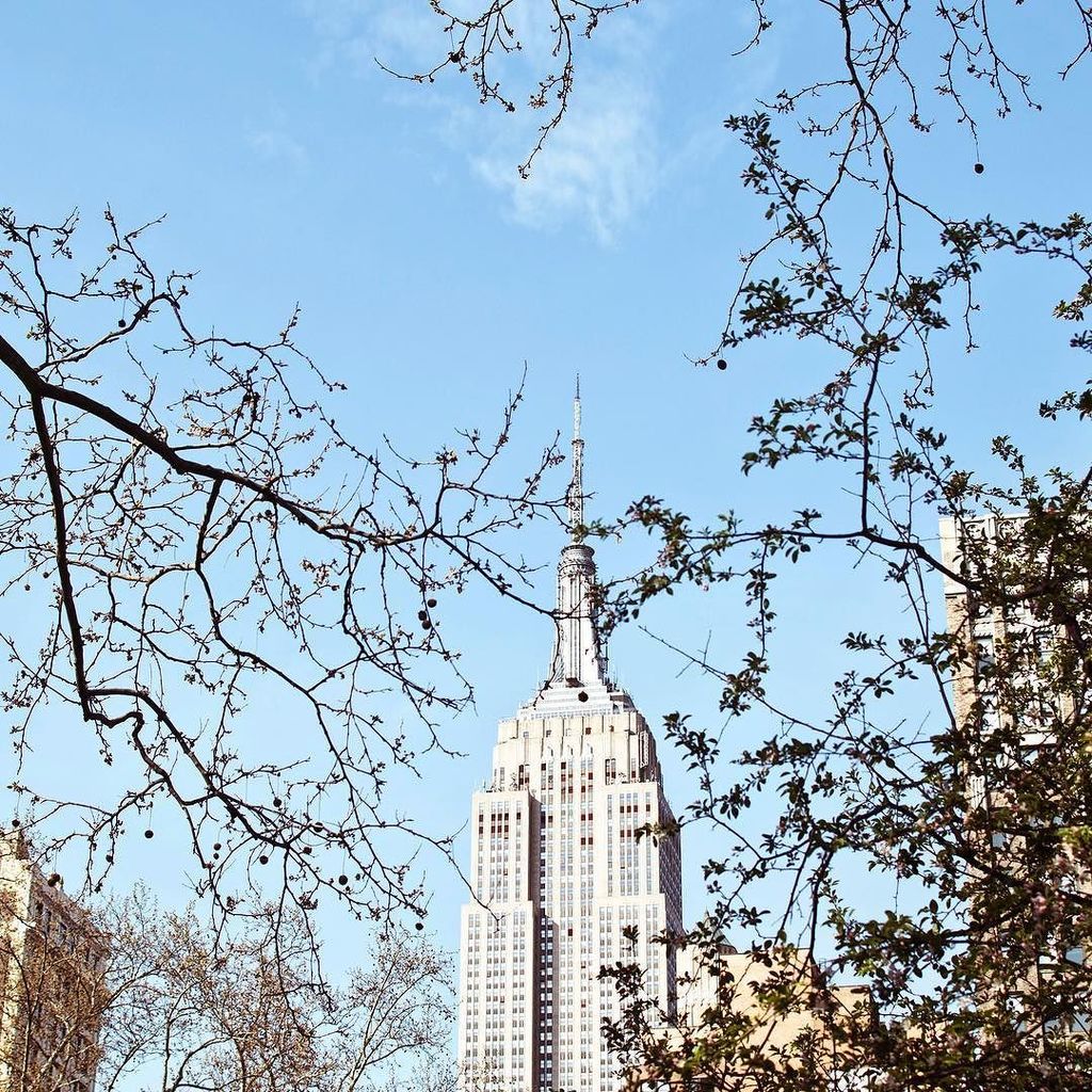 OneCliqueShoes's tweet photo. Nothing like NYC. 
#nyc #empirestatebuilding #empirestate #flatiron https://t.co/wPOfIAAbRj https://t.co/5AmR6akc6j