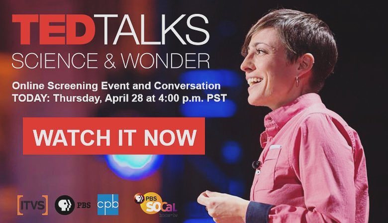 PBSSoCal's tweet photo. Are you watching our #ScienceAndWonder online discussion? Watch now: … https://t.co/jL6LtbfypH https://t.co/0ZvIaKBju8