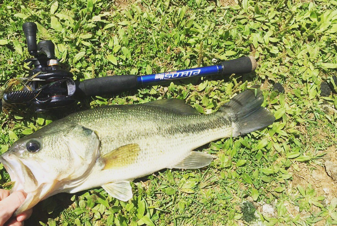 Spentshell918's tweet image. Number 3 for the day!