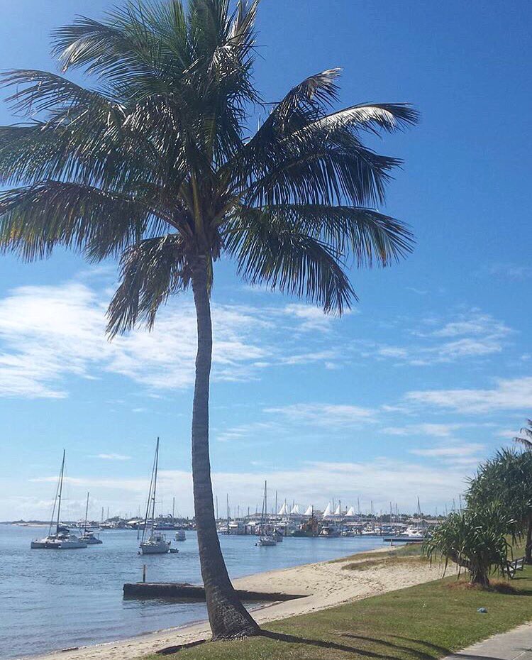 oztourguide's tweet photo. Who's ready for the #weekend? A #beautiful #view of the #GoldCoast by @my_photo_place via IG #getoutthereandexplore https://t.co/KGmC4BqqCl