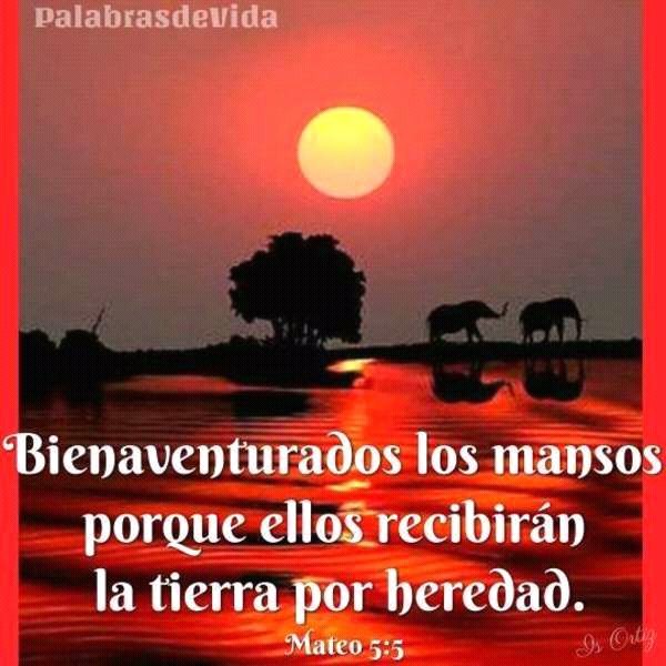 VidaPalabras777 tweet picture