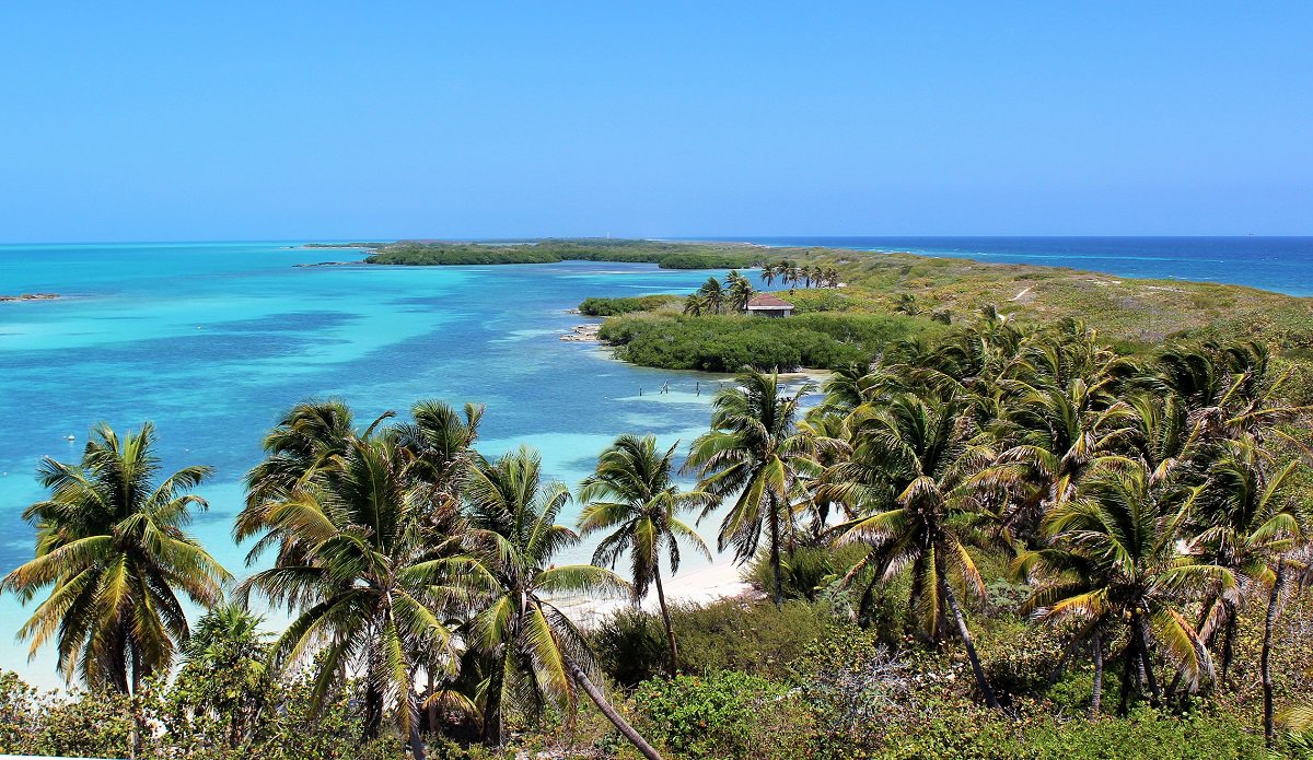 novedadesqroo's tweet photo. #Entérate #QuintanaRoo está a un paso de tener la mayor Área Natural Protegida https://t.co/NGbhfK8QLW https://t.co/3VIMYoTf5R