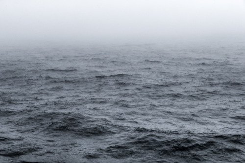 Archillect (@archillect) on Twitter photo 