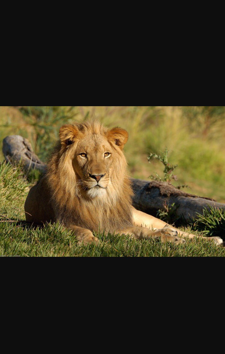 blake_turner16's tweet photo. @GetABuck69 hey bud. Heard you were down. This is for you https://t.co/FmmMyylRV4