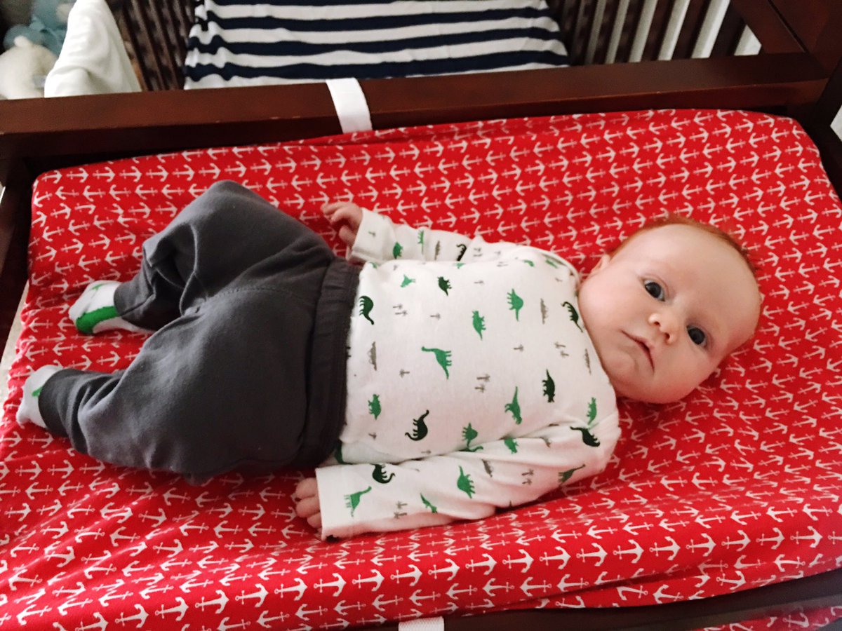 dallasbourdo_'s tweet photo. only thing getting me through this next week is finally being able to meet this chunk. 
p.s. please stop growing,💕 https://t.co/dj0OCZVXn5