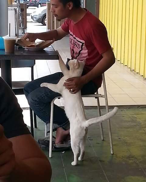 MalayaTraders's tweet photo. Gambar artis lelaki hensem boleh dapat 20K RT. Abang yang baik ni boleh dapat lebih 20K RT tak? https://t.co/nXkZLXegcO