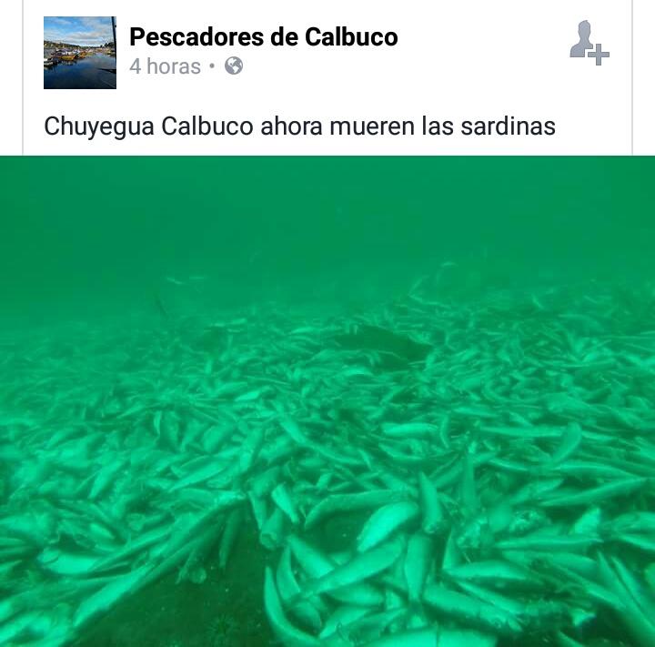 FuentealbaMoi's tweet photo. Y ahora a quien culpamos por esto...???
@ahoranoticiasAN @T13 @chvnoticiascl @24HorasTVN https://t.co/46GuHPCm1U