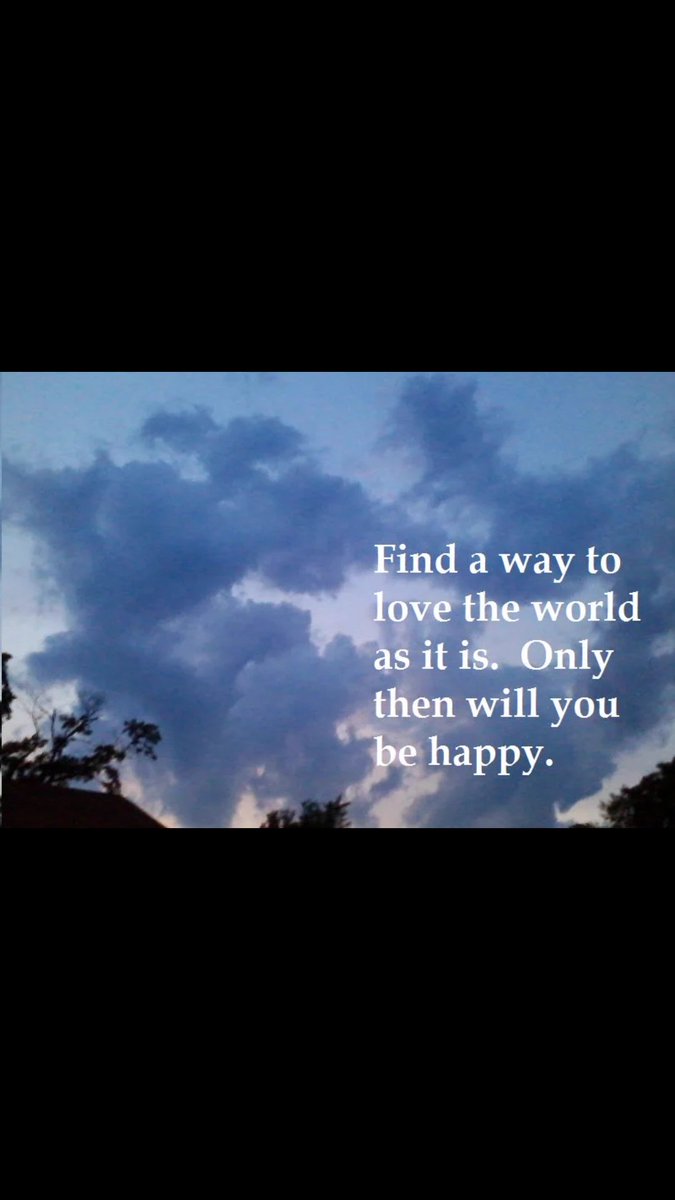 monkeytraps's tweet photo. #life isn't #perfect but you can still #love it https://t.co/B48GymSGDH