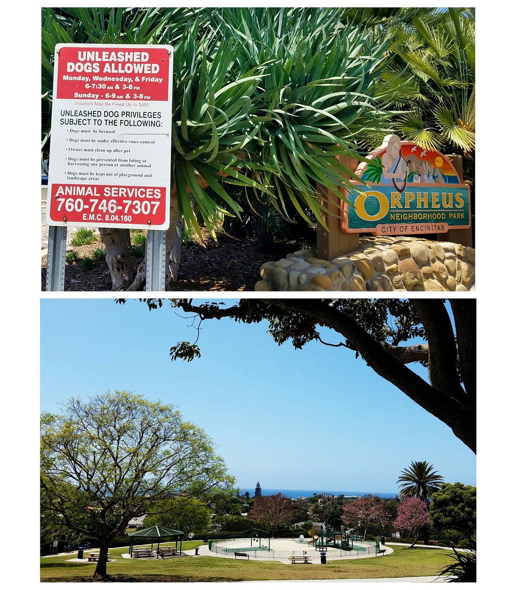 HauteHomesSD's tweet photo. Per fido's request, #dogfriendly #neighborhoodpark with an #oceanview on a hill! #dogpark #offleash 
#sandiego https://t.co/uPjvmqaaav