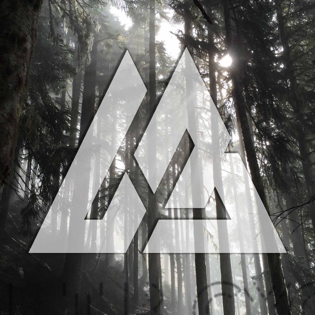lb_wheels's tweet photo. LBWHEELS logo looking fresh.
#wheels #mtb #mountainbike #mtbtrail #mountainbiking #cycle  #mtbrider #mtblife https://t.co/4ygffbIALe