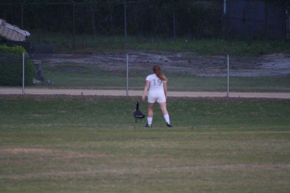 paigejnaylor's tweet photo. @TiffanyTheGoose is a fan of FTS Girls Soccer but not crazy about Caroline chasing her off the field! https://t.co/UENzQXzVCU
