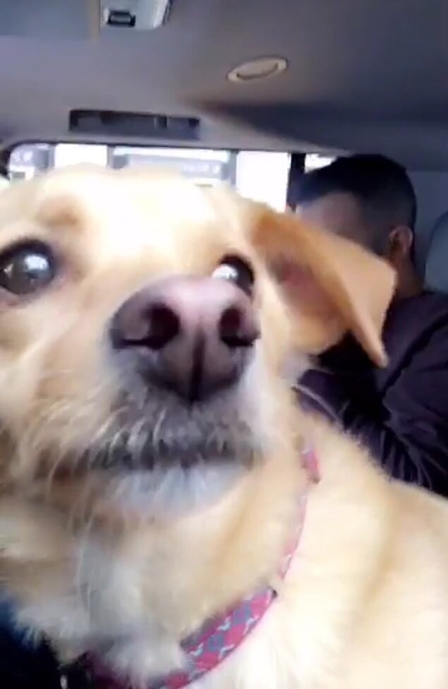 pixiemoonlight's tweet image. before and after listening to problem #2YearsOfProblem