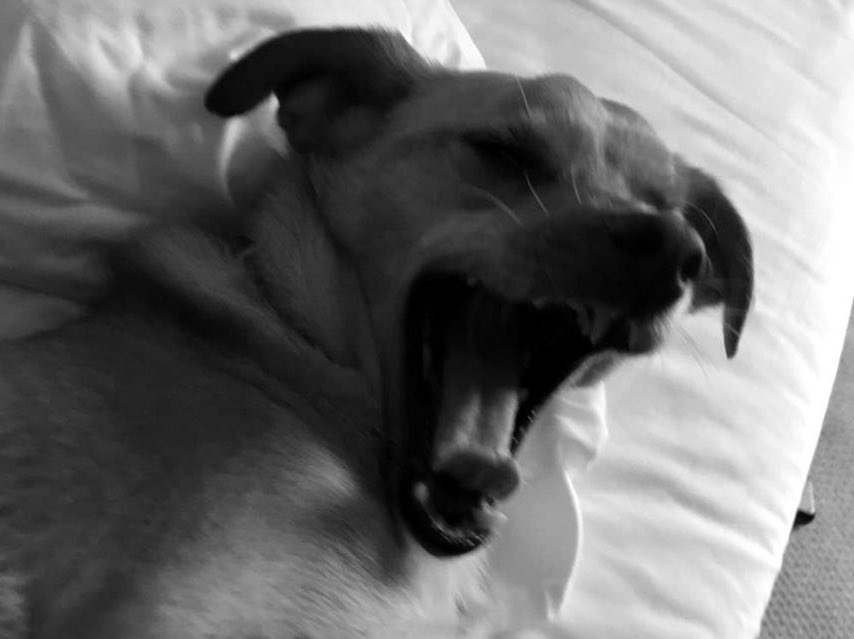 pixiemoonlight's tweet image. before and after listening to problem #2YearsOfProblem