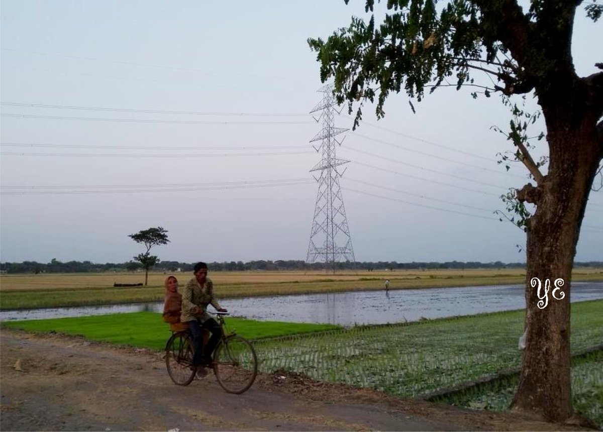 Belajar romantisme usia senja di sebuah desa
#RomantismeSenja