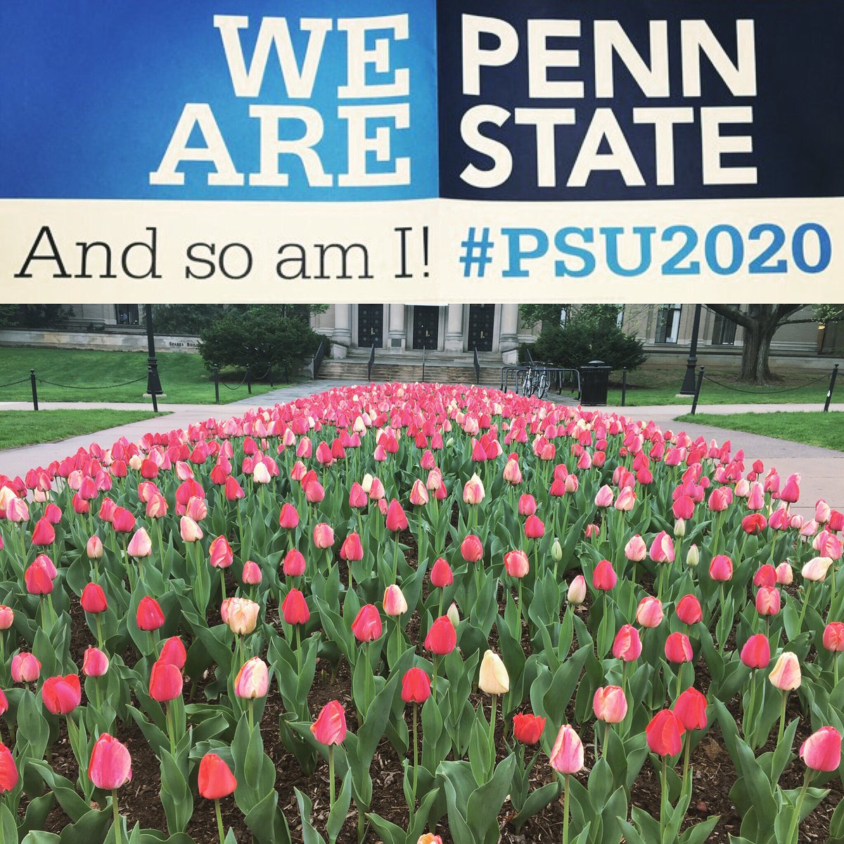 WeAreCircleK's tweet photo. Congrats to everyone who accepted their offer to attend PSU. Check out Circle K this fall! ๐
#pennstate2020 #psu2020 https://t.co/4KH4GT9CVg