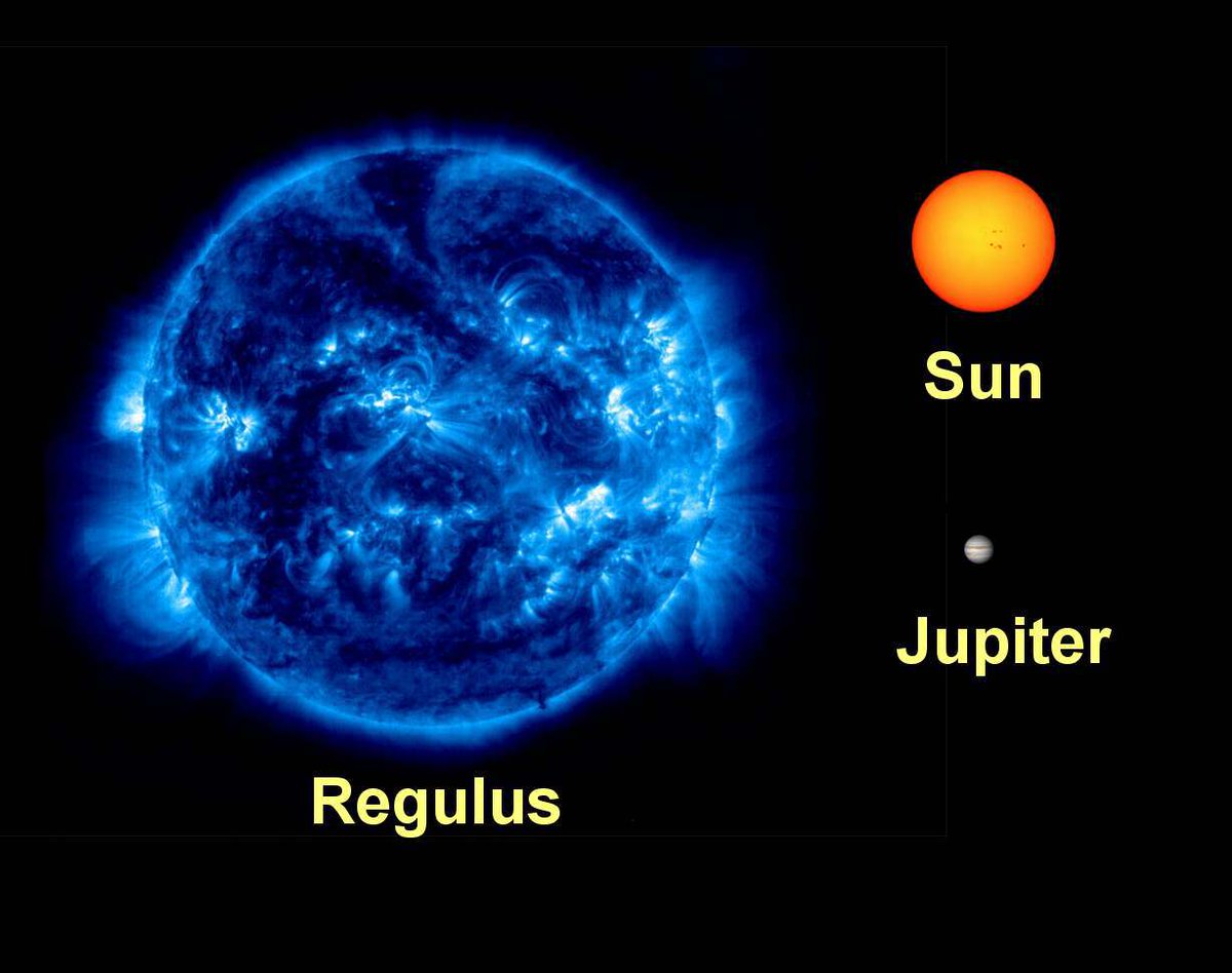bountymoon's tweet image. A to Z Challenge: R is for Regulus blueflute.wordpress.com/2016/04/28/a-t…