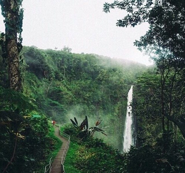 deep_aesthetics's tweet photo. "There's no wifi in the forest, but I promise you'll find a better connection." https://t.co/cGeU1cCaEv