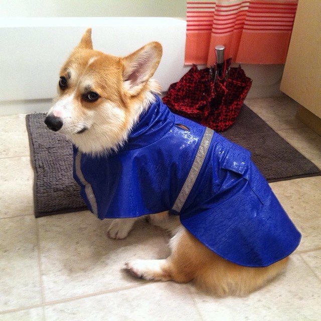 hunneybee's tweet photo. need a guy who will let me spam their phone with pics like this: https://t.co/9gUtVaVexZ
