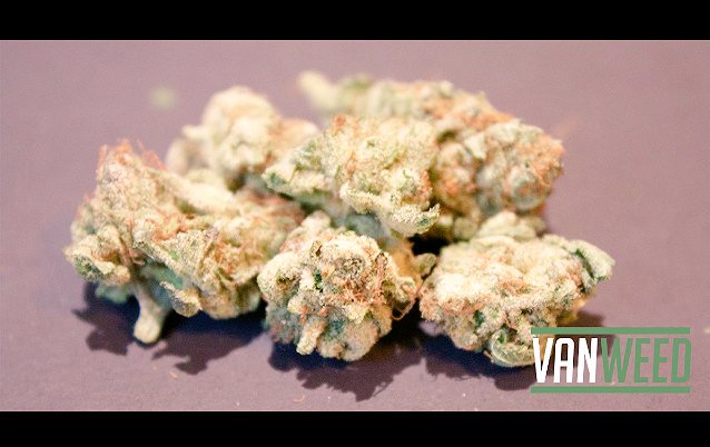 van__weed's tweet photo. Some King Kush from The Green Room. Middle Price for nice buds.

グリーンルームにて$8/gとお手頃価格なのに良い味だしてます！ https://t.co/F7uZTHnRjE