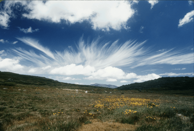ConversationEDU's tweet photo. #EcoCheck: how are the Australian Alps faring as the temperature rises? https://t.co/njSBZNolNW https://t.co/bZ6jyAwNfo