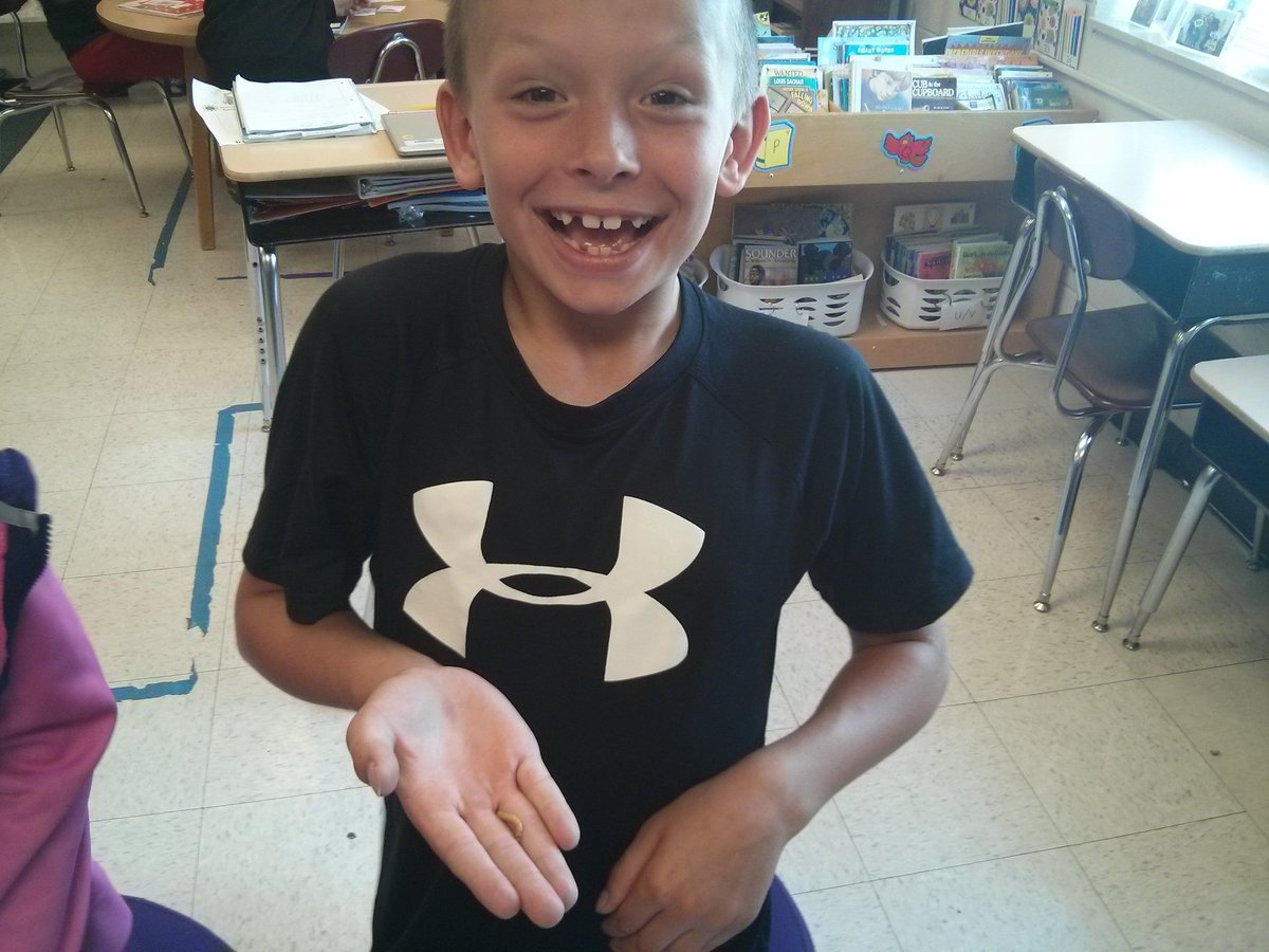 Mrs_Geib's tweet photo. We are experiencing life cycles in order to compare and contrast them. https://t.co/BSr2v6gxaN