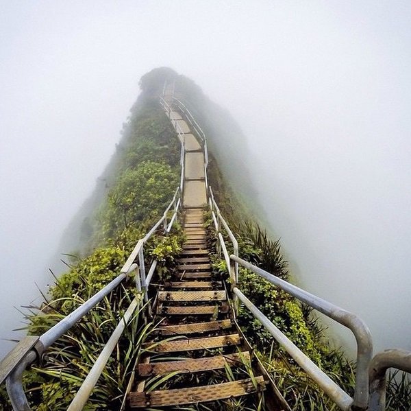 Seriously? #Stairway to #Heaven, #Oahu, #Hawaii.