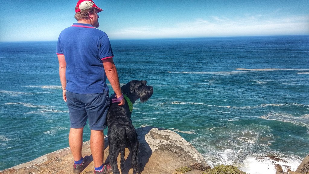 BasjanTheGiant's tweet photo. Waiting for our ship to come in (hope it's full of bones!) #giantschnauzer #portrait #osean #mosselbay #dogadventure https://t.co/vGGSOLgswN