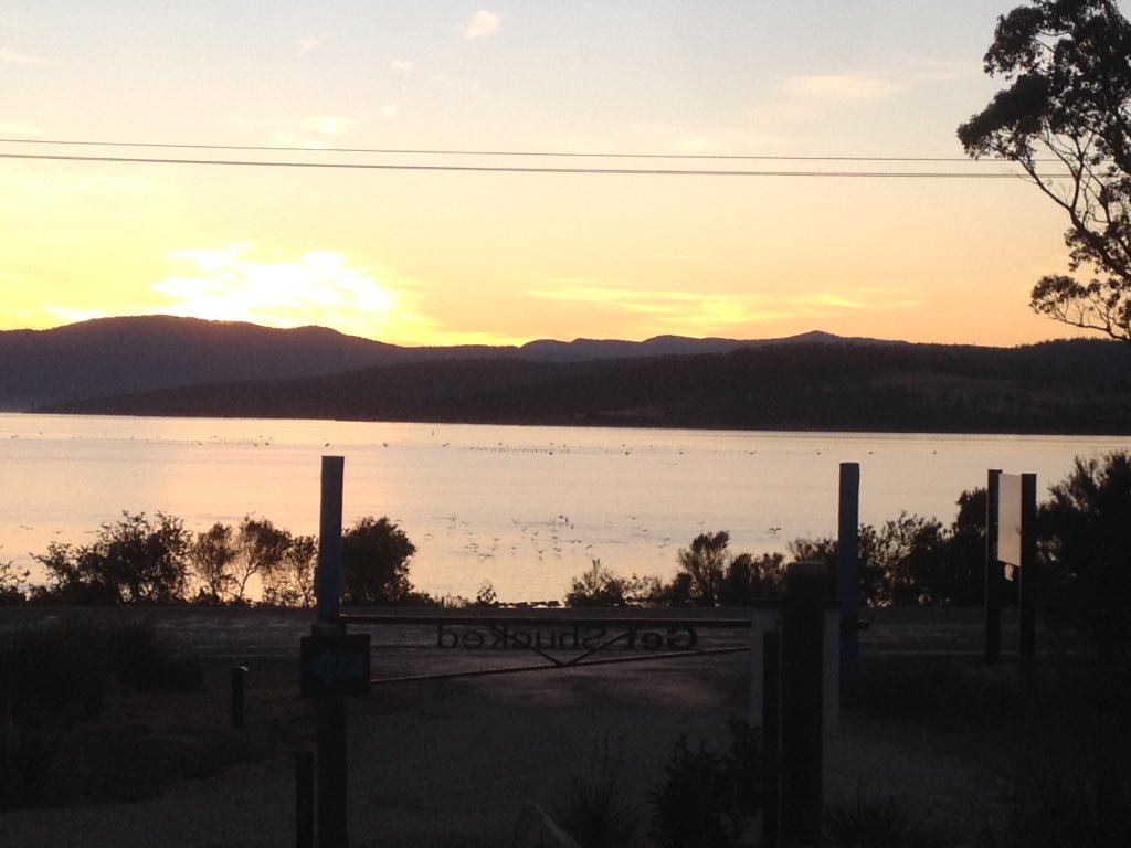 Birds feeding on sunset. Straight out the front..