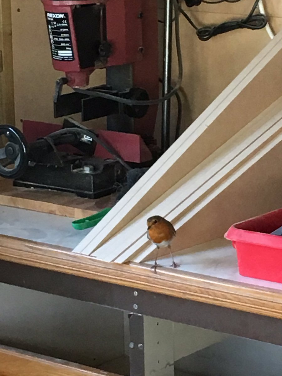 Herts_HandyMan's tweet photo. Had a visitormin the workshop today #HelloMrRobin #handyman #stalbans https://t.co/kbvvLnwbWb