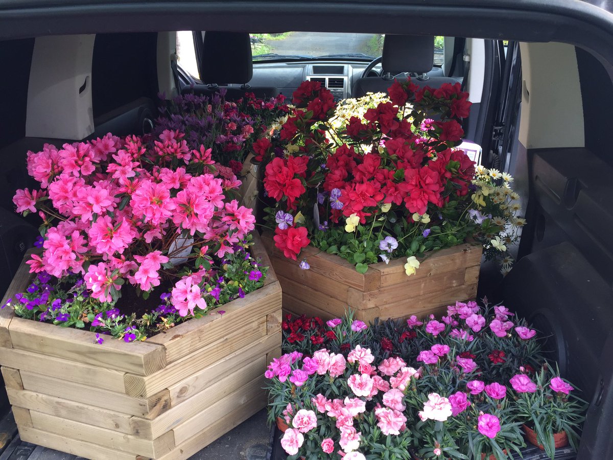 Delivering the pretty planters to <a href="/port_eliot/">Port Eliot HT</a> this morning 🌺🌸🌷💐 <a href="/BondTimber/">Bond Timber</a> <a href="/whbond/">WHBond</a>